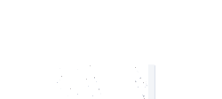 Brainet